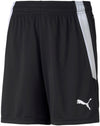 Teamliga shorts fra Puma