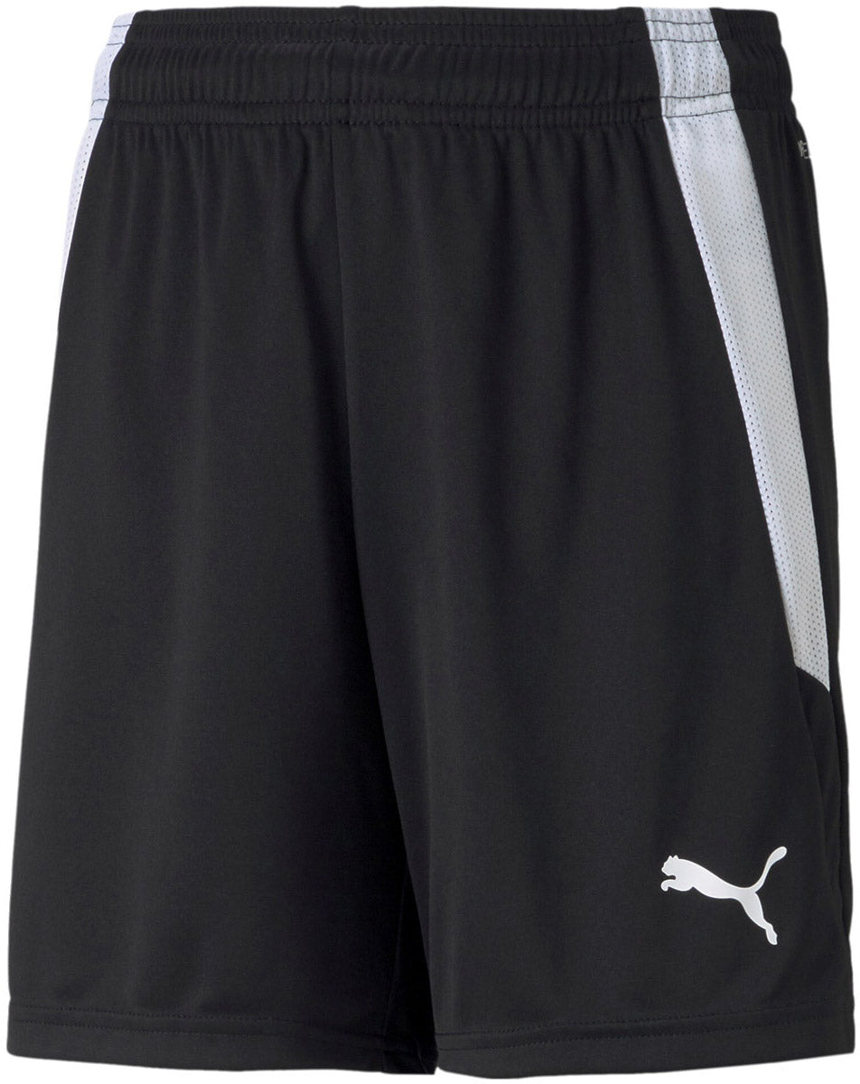 Teamliga shorts