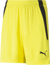 Teamliga shorts fra Puma