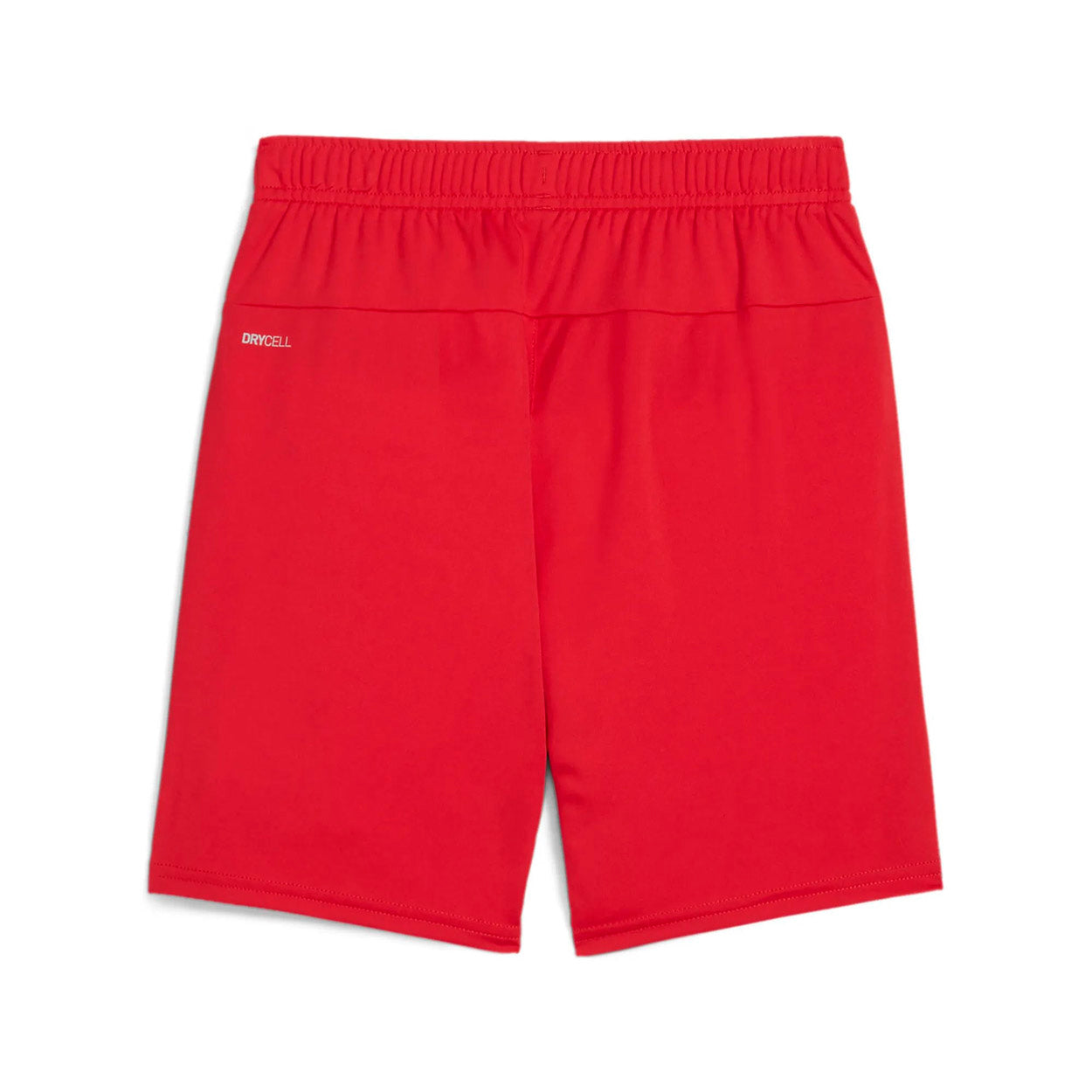 Teamgoal Shorts