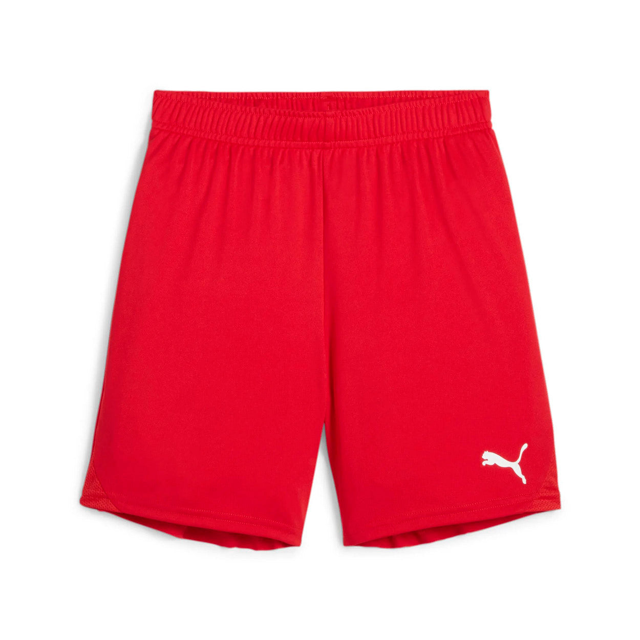 Teamgoal Shorts