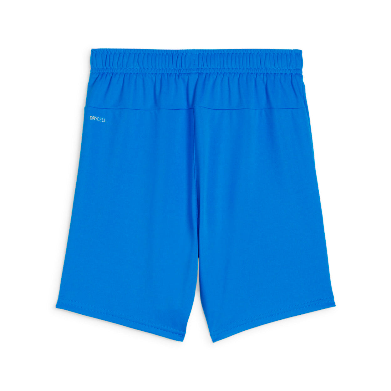 Teamgoal Shorts