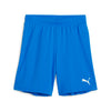 Teamgoal Shorts fra Puma