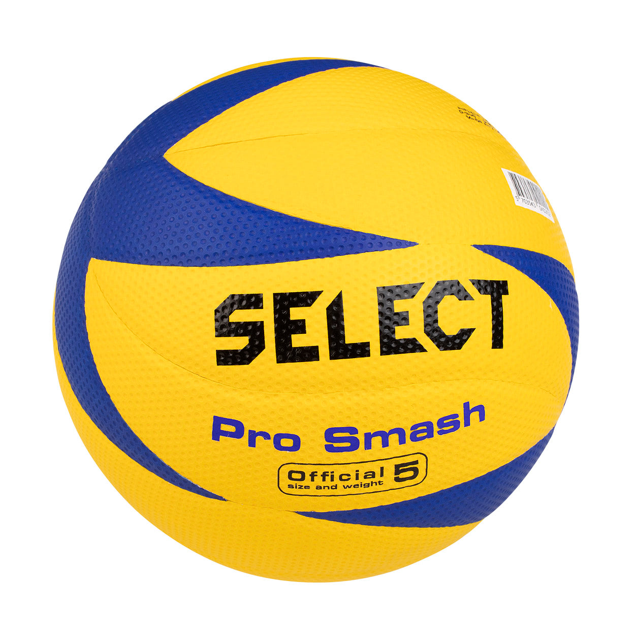 Pro Smash Volleyball