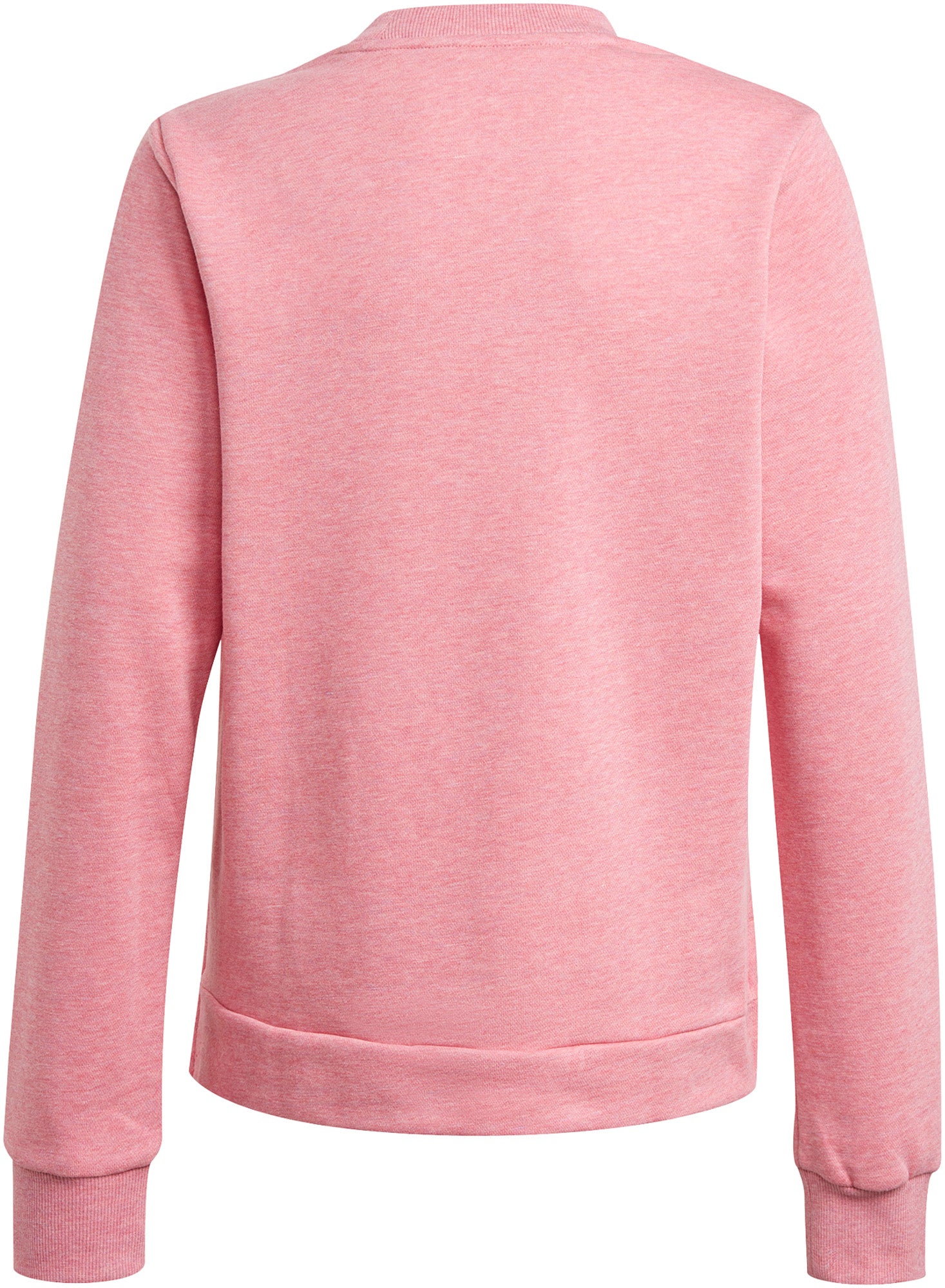 Future Icons Logo Crew sweatshirt