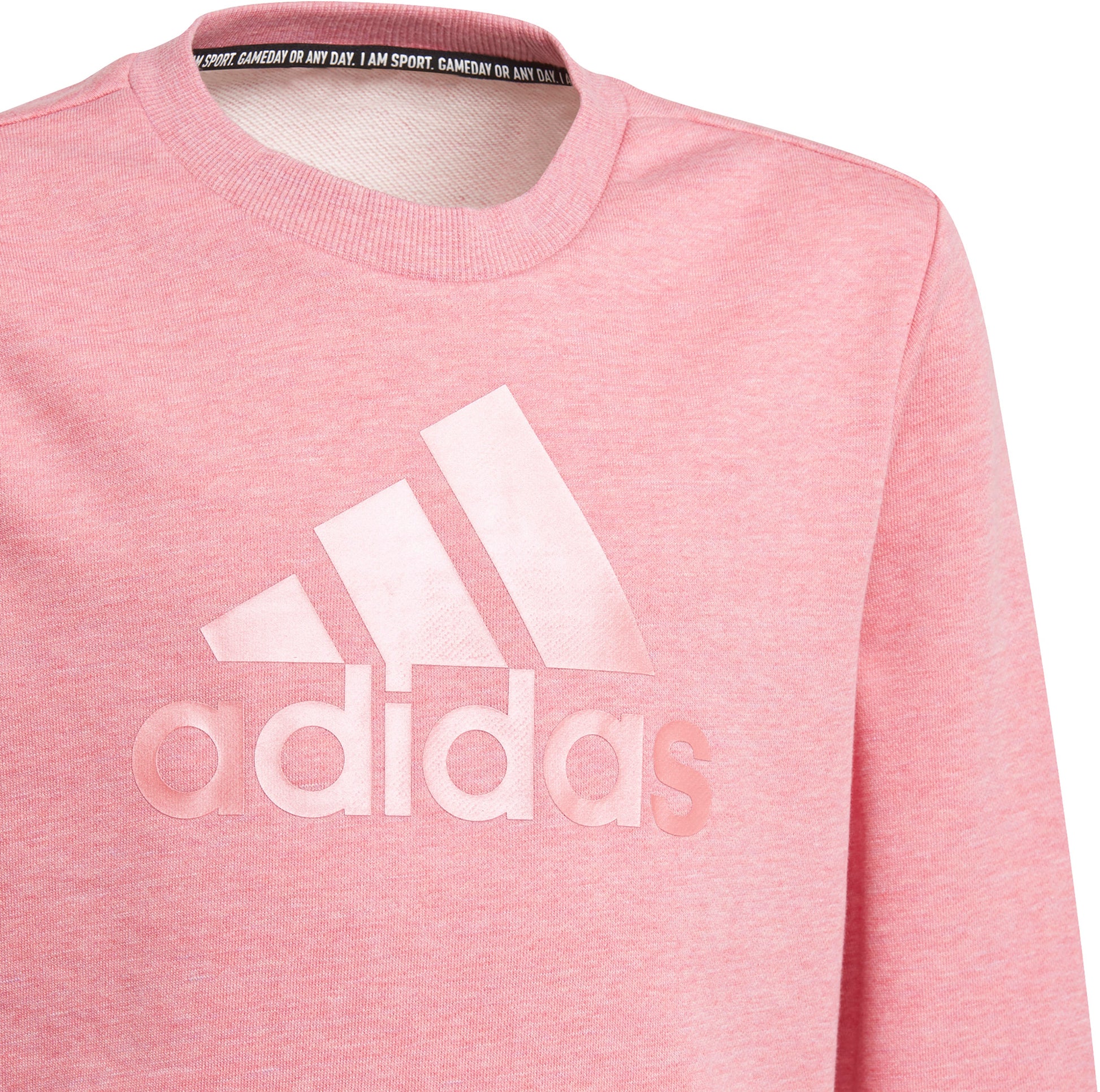 Future Icons Logo Crew sweatshirt