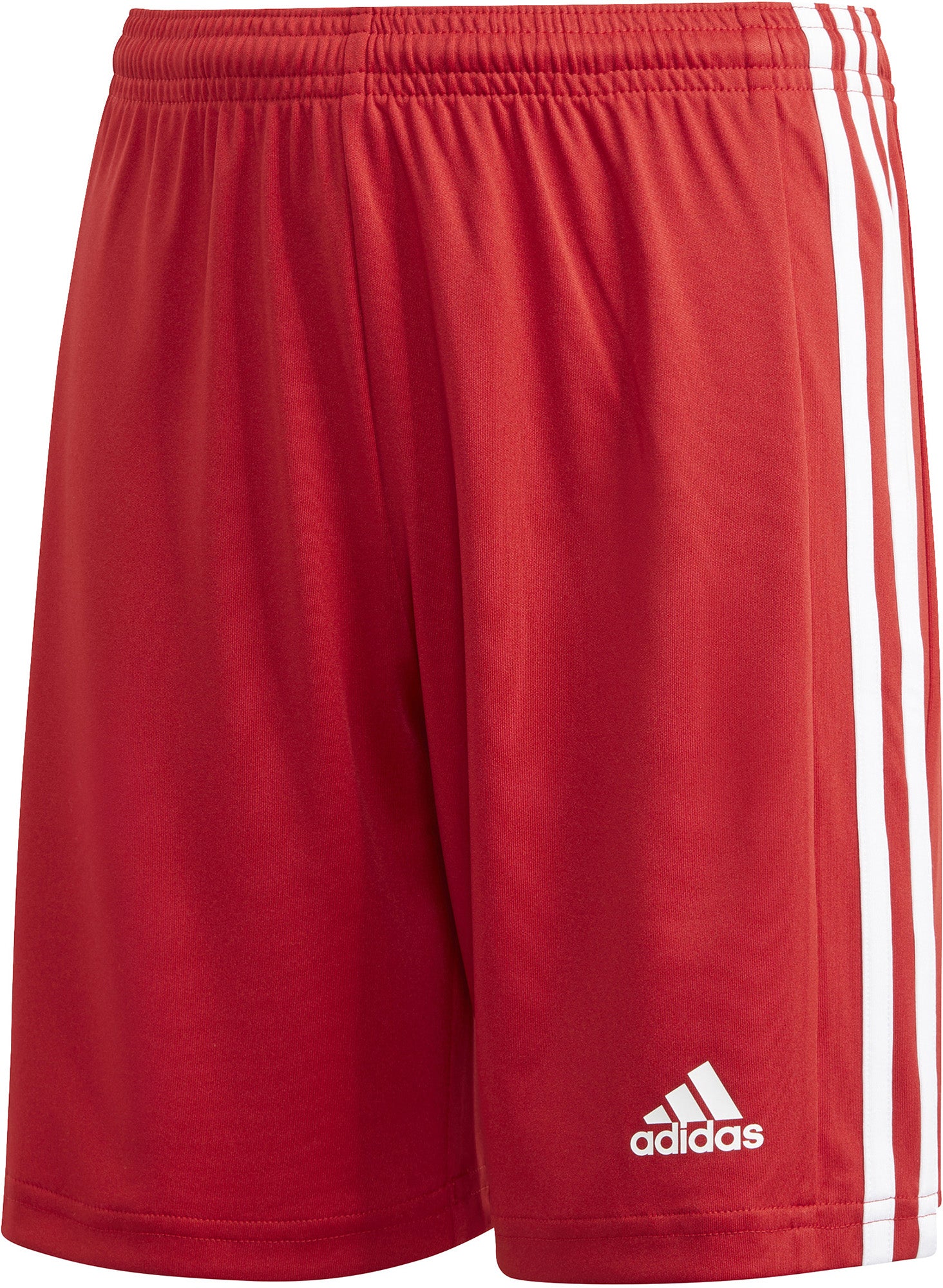 Squadra 21 shorts