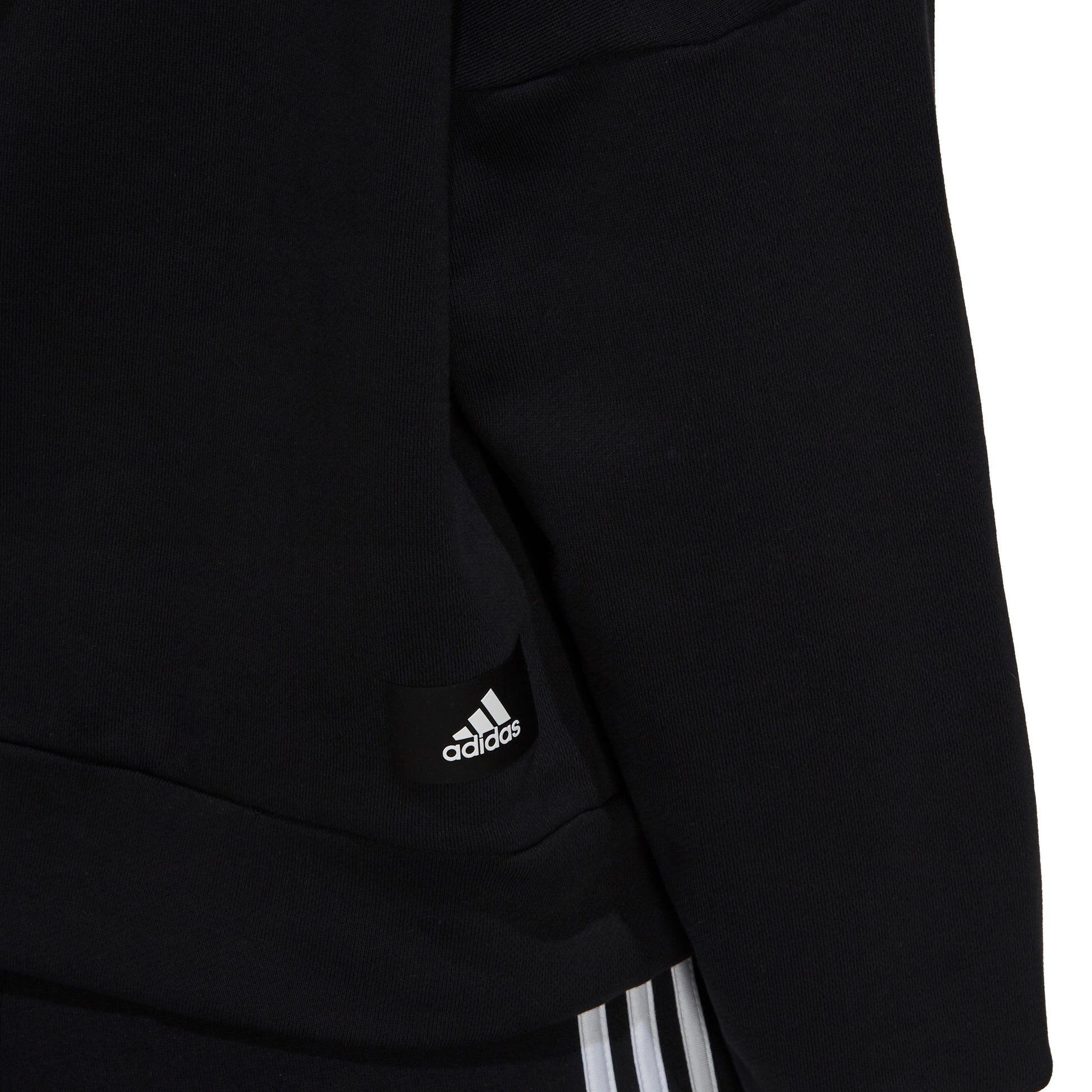 Sportswear Future Icons hættetrøje