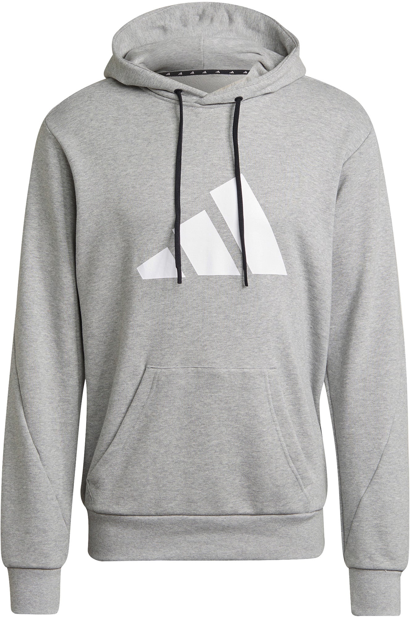 Sportswear Future Icons Logo Graphic hættetrøje