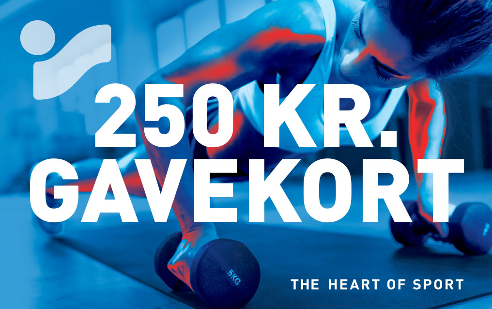 Gavekort 250,00