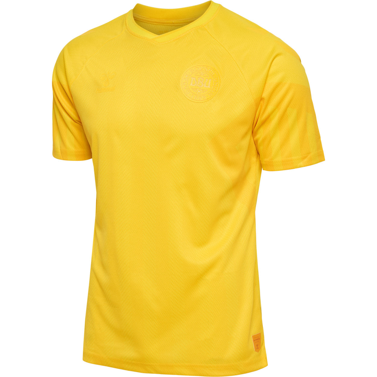 DBU Danmark målmandstrøje 22 Voksen