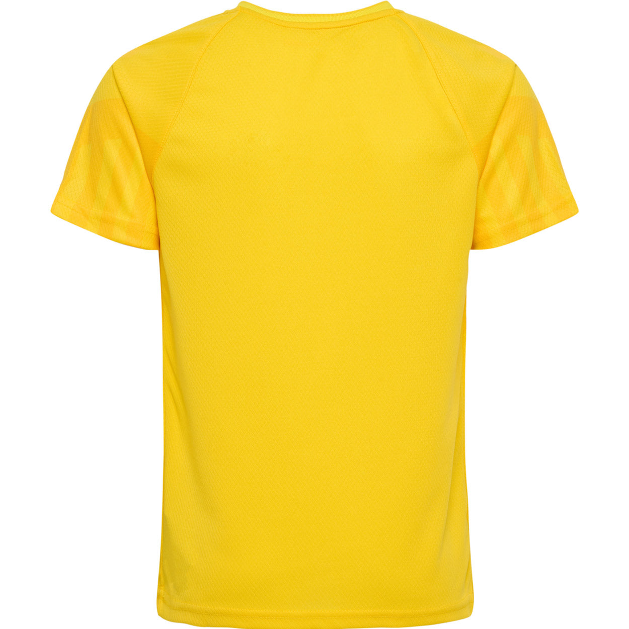 DBU Danmark målmandstrøje 22 Børn