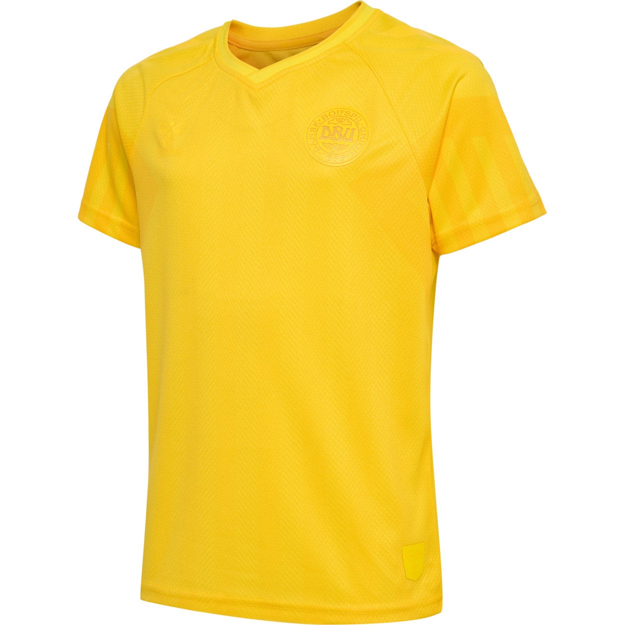 DBU Danmark målmandstrøje 22 Børn