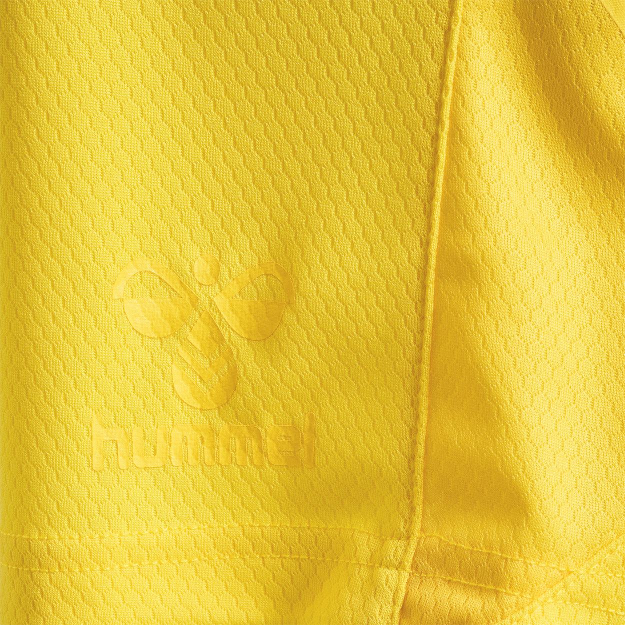 DBU Danmark målmandsshorts 22