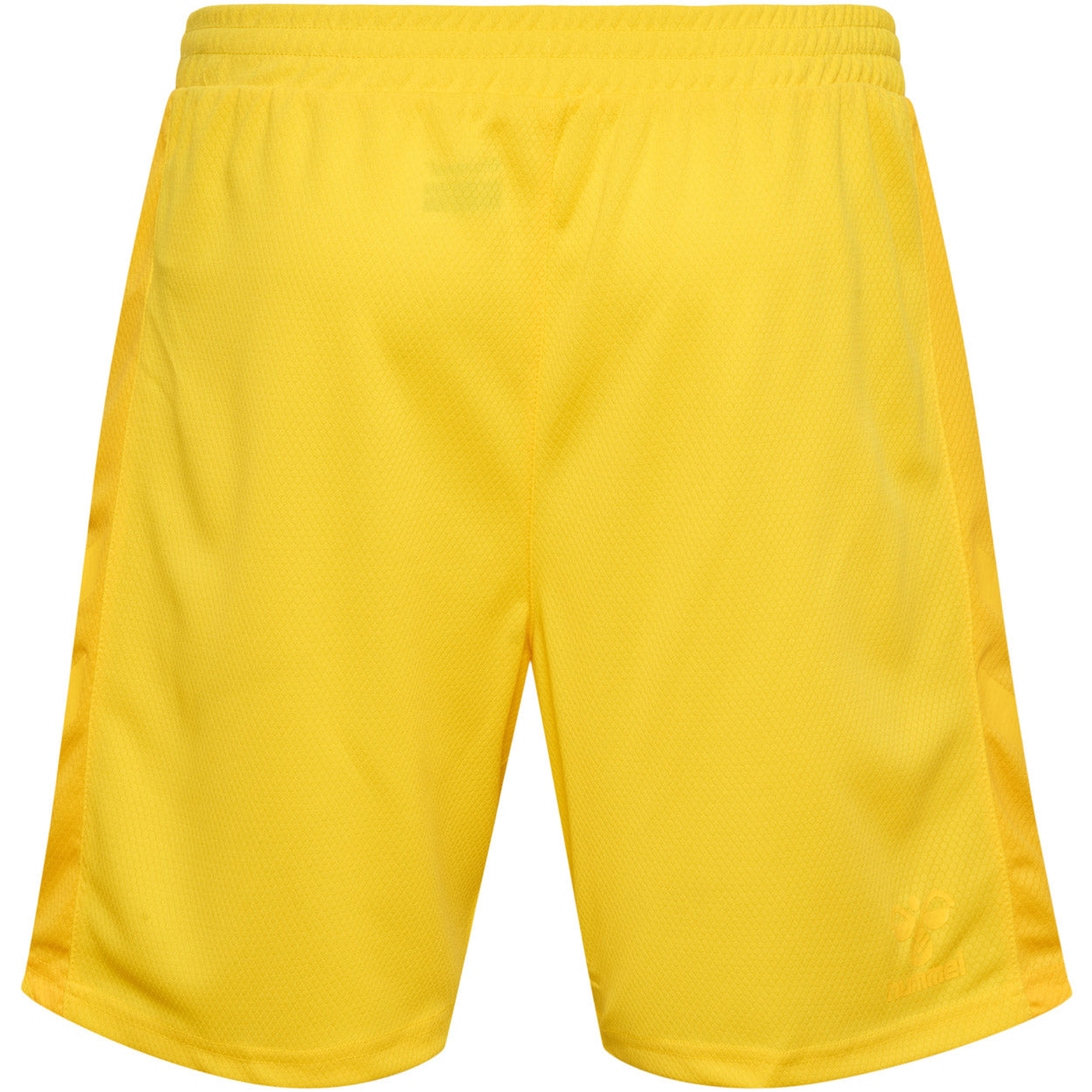 DBU Danmark målmandsshorts 22