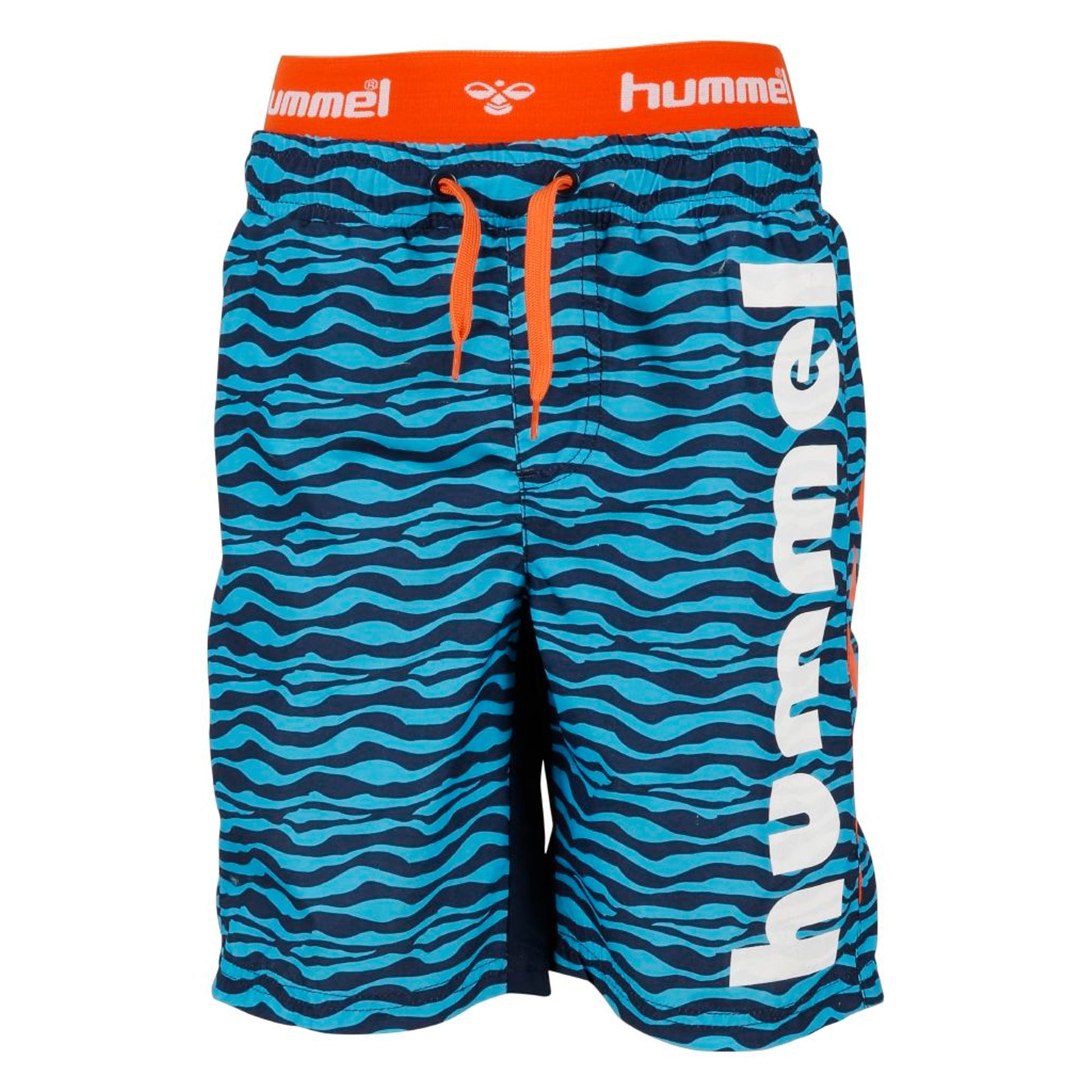 Wade Swim Shorts