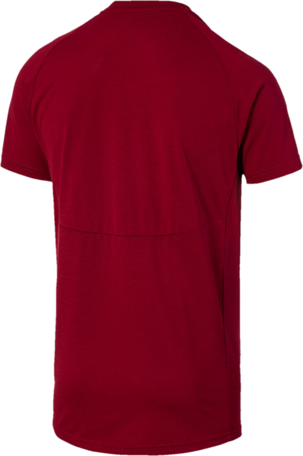 Evostripe Tee
