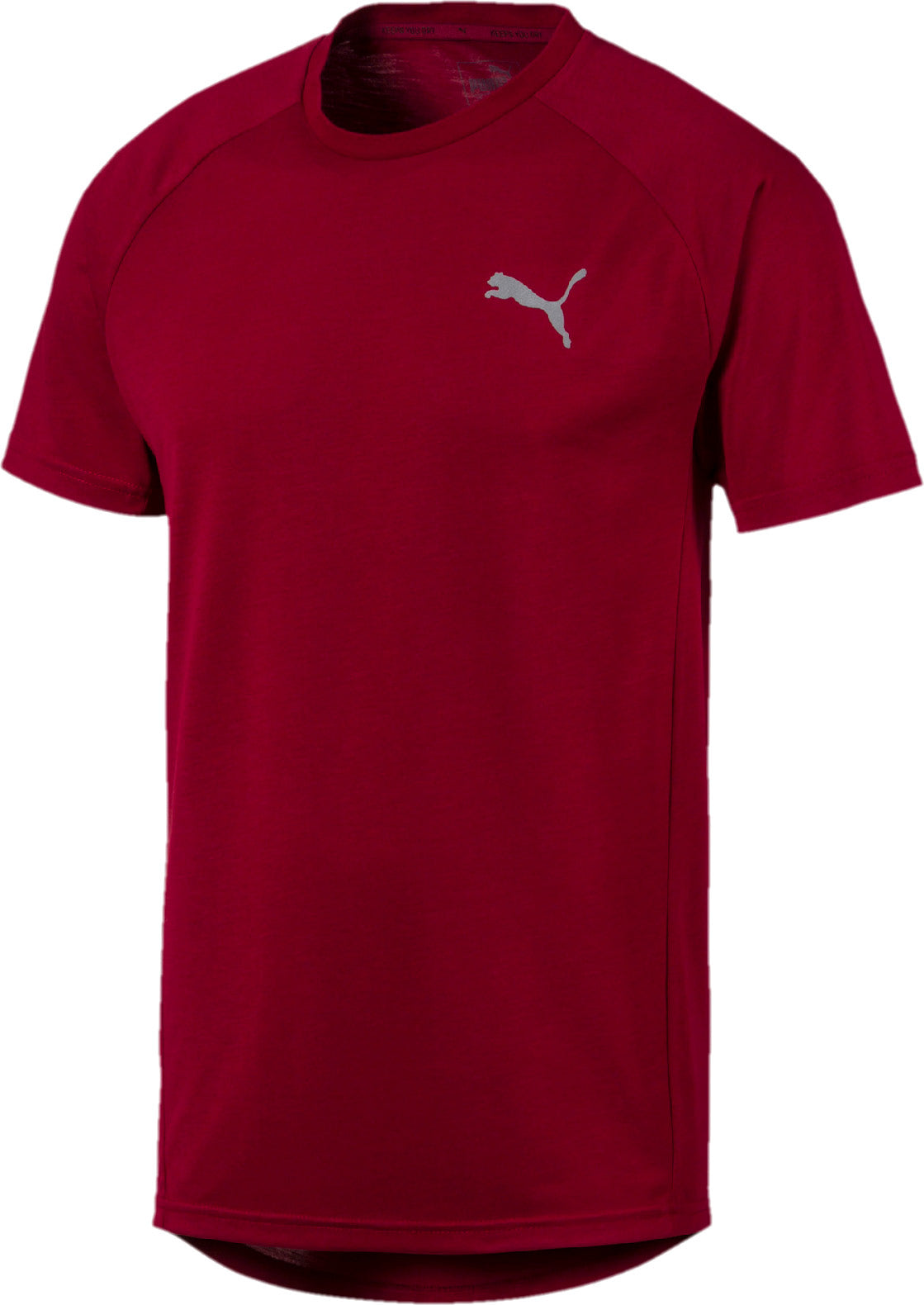 Evostripe Tee
