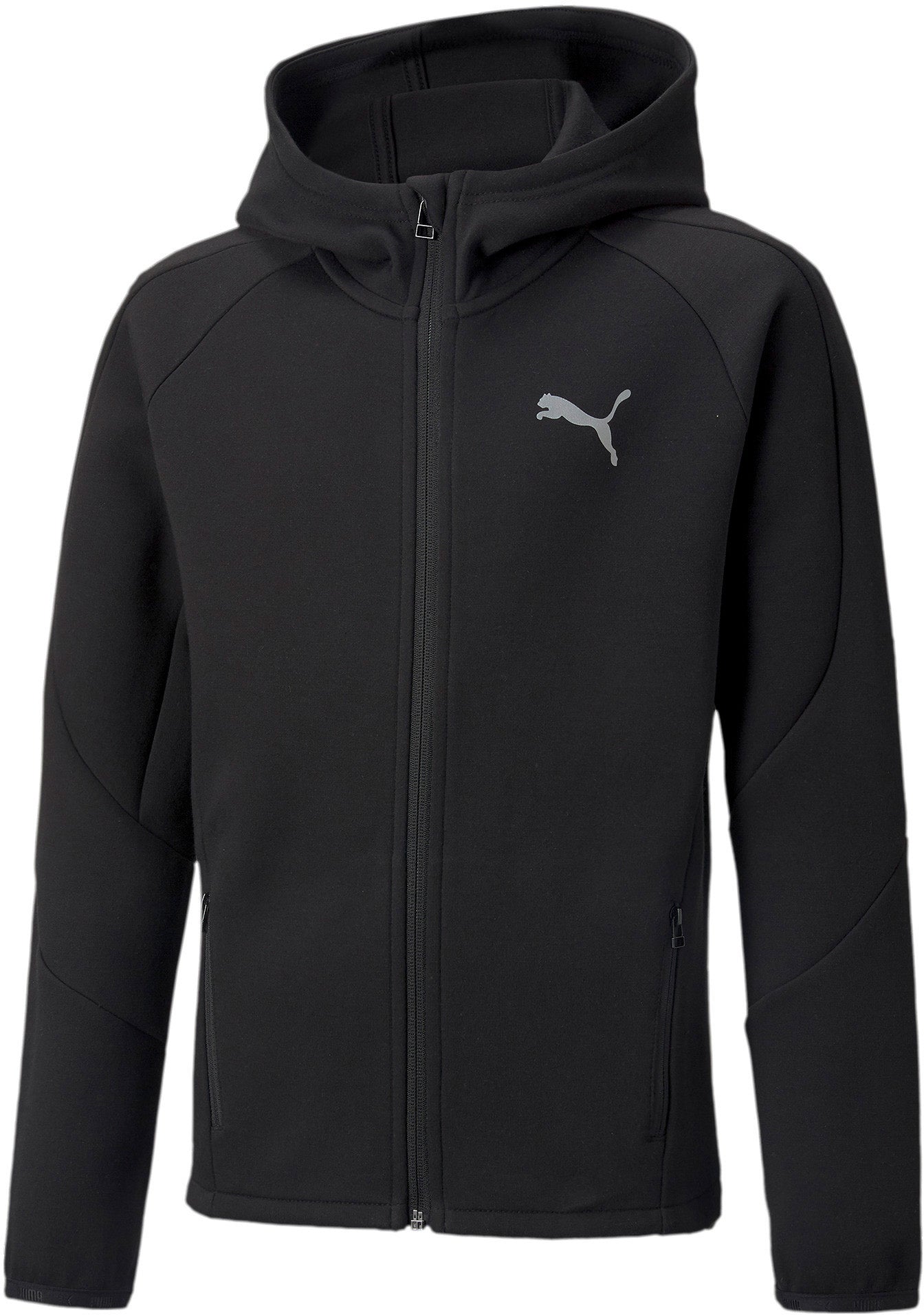 Evostripe Full-Zip hættetrøje