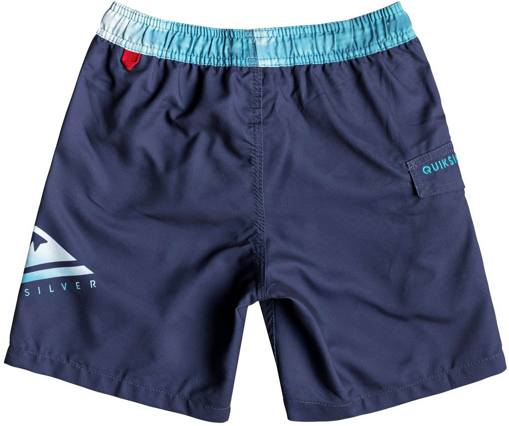 Critical 15" Swim Shorts
