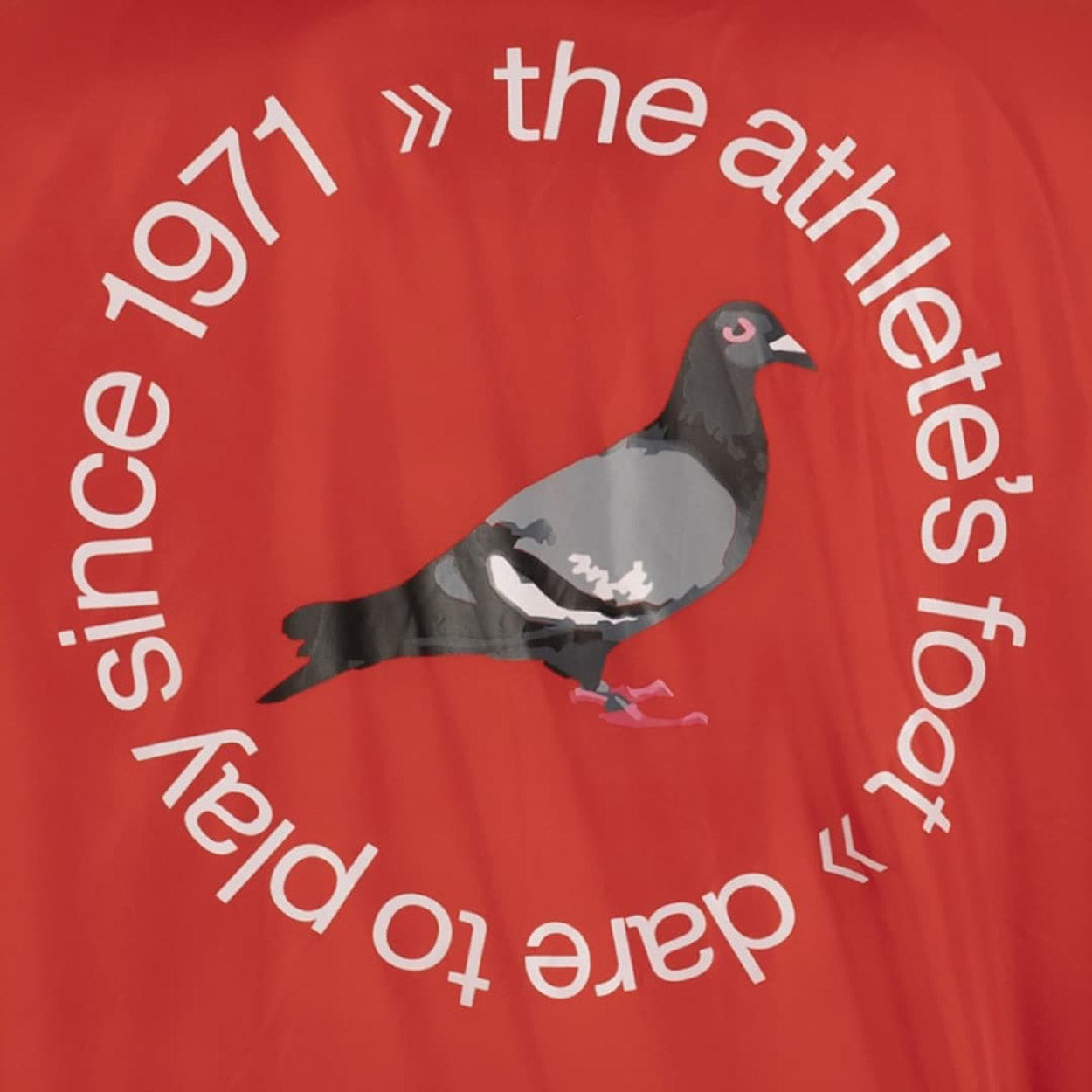 STAPLE X TAF CIRCLE LOGO COACH JAKKE