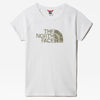 Odles Logo T-shirt fra The north face