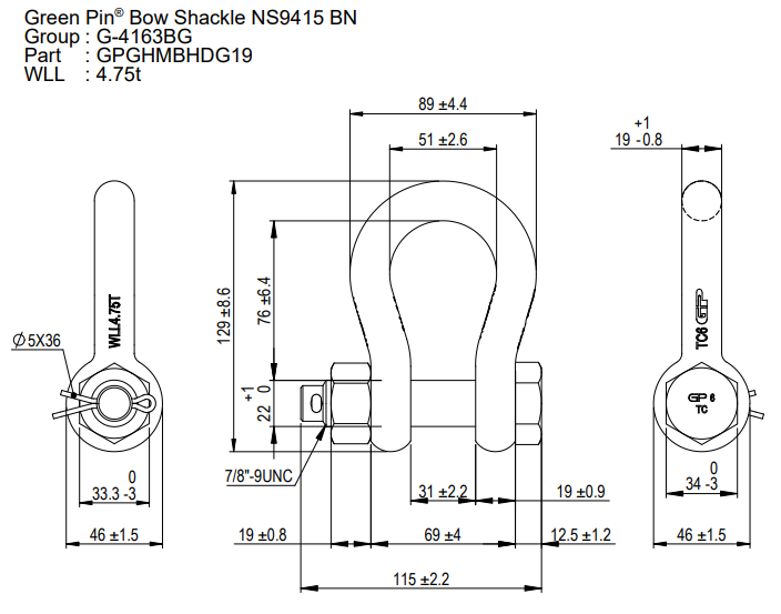 Ladda bild i galleriet, Schackel Green Pin® G-4163 - WLL: 4,75 T
