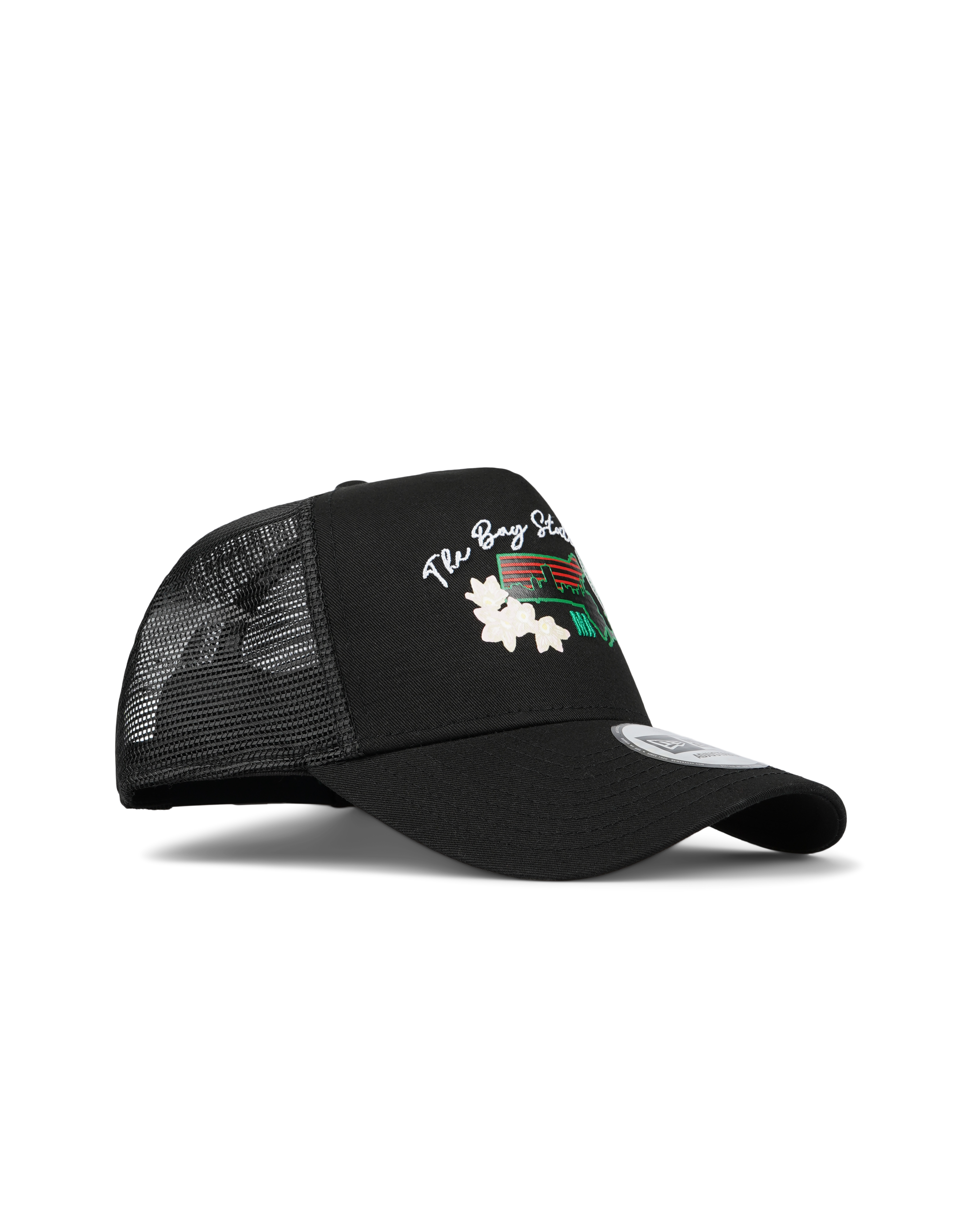 Boston Celtics NBA Team Logo Trucker