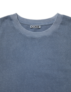 Damaged Color Dyed Crop T-Shirt