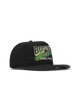 Boston Celtics Throwback Brush