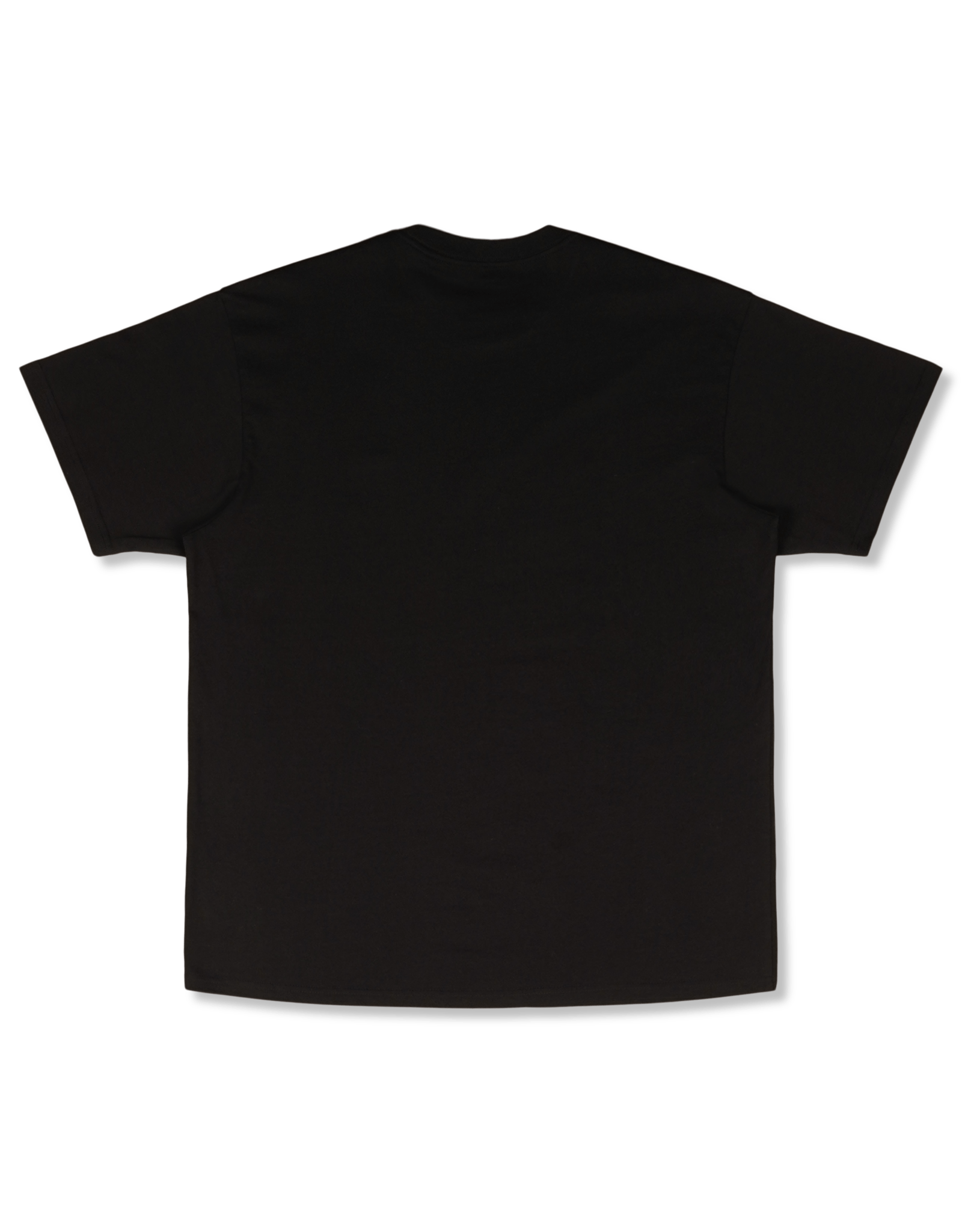 Carhartt WIP Script Embroidery T-Shirt | Rezet Store