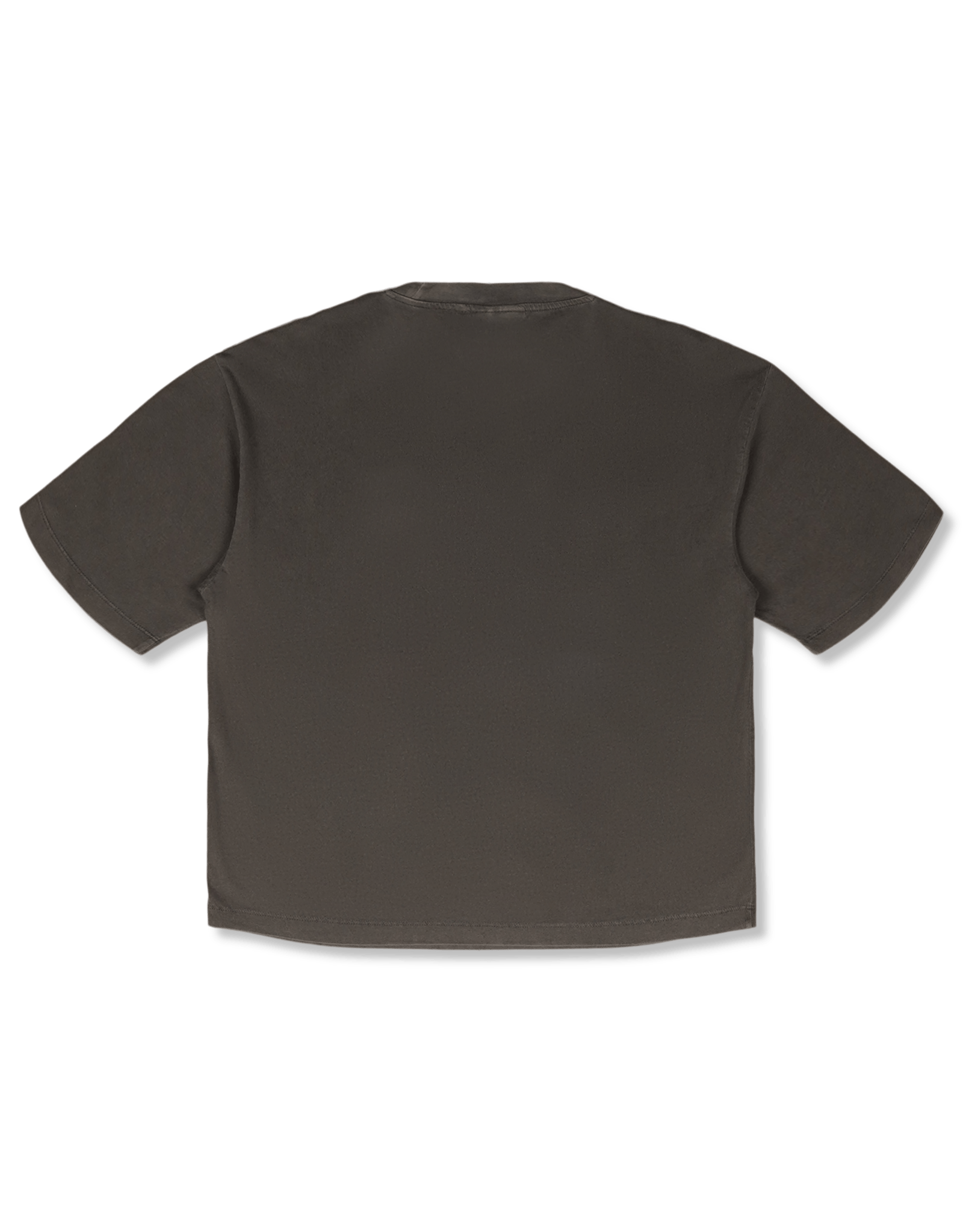 Carhartt WIP W S/S Nelson T-Shirt | Rezet Store