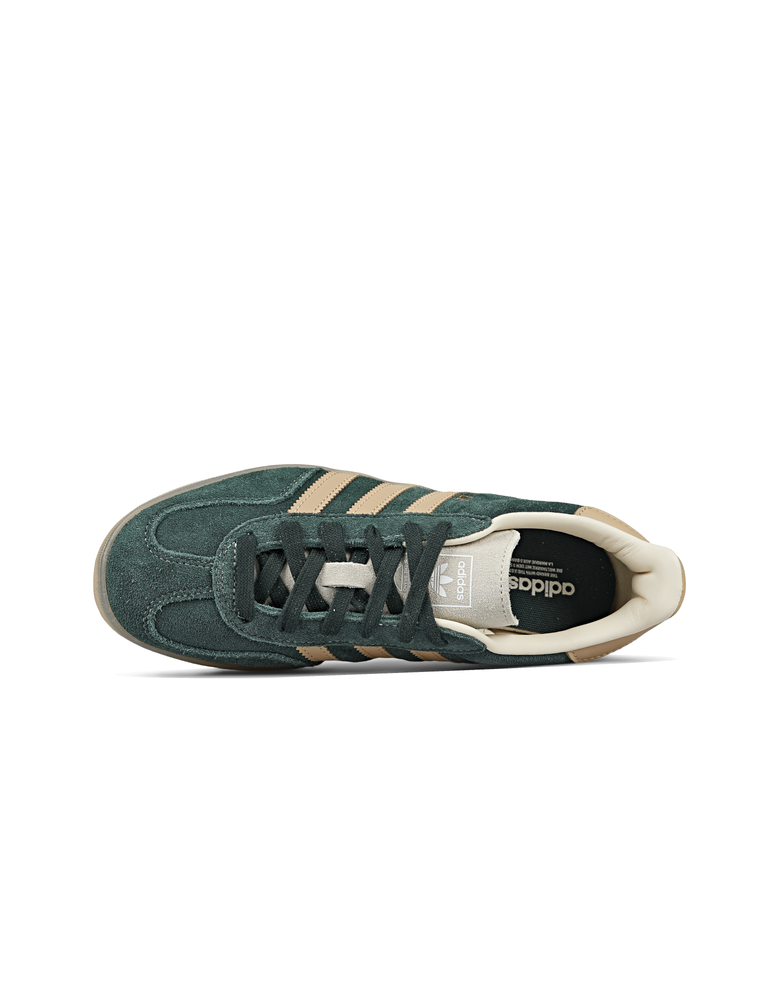 Gazelle Indoor