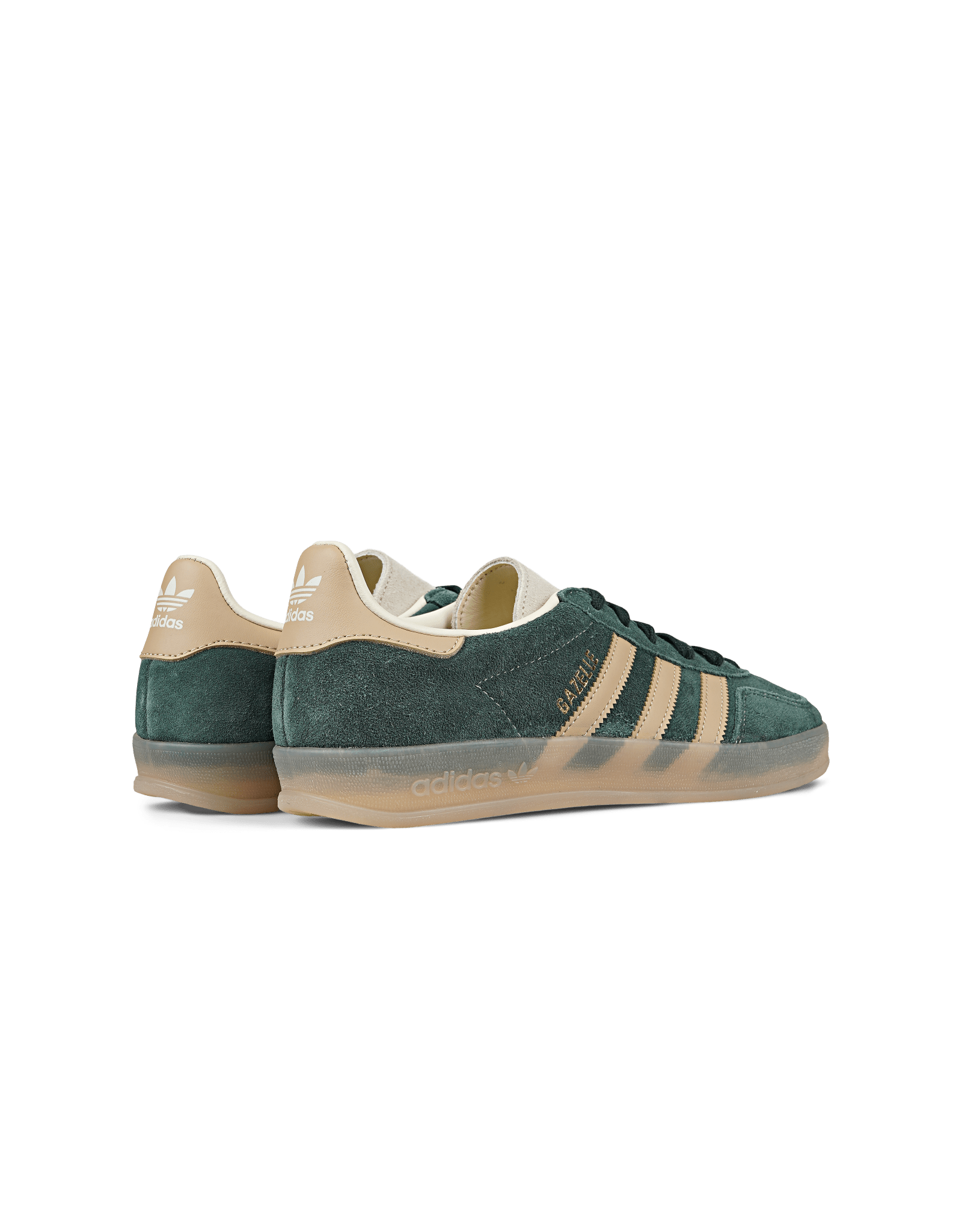 Gazelle Indoor