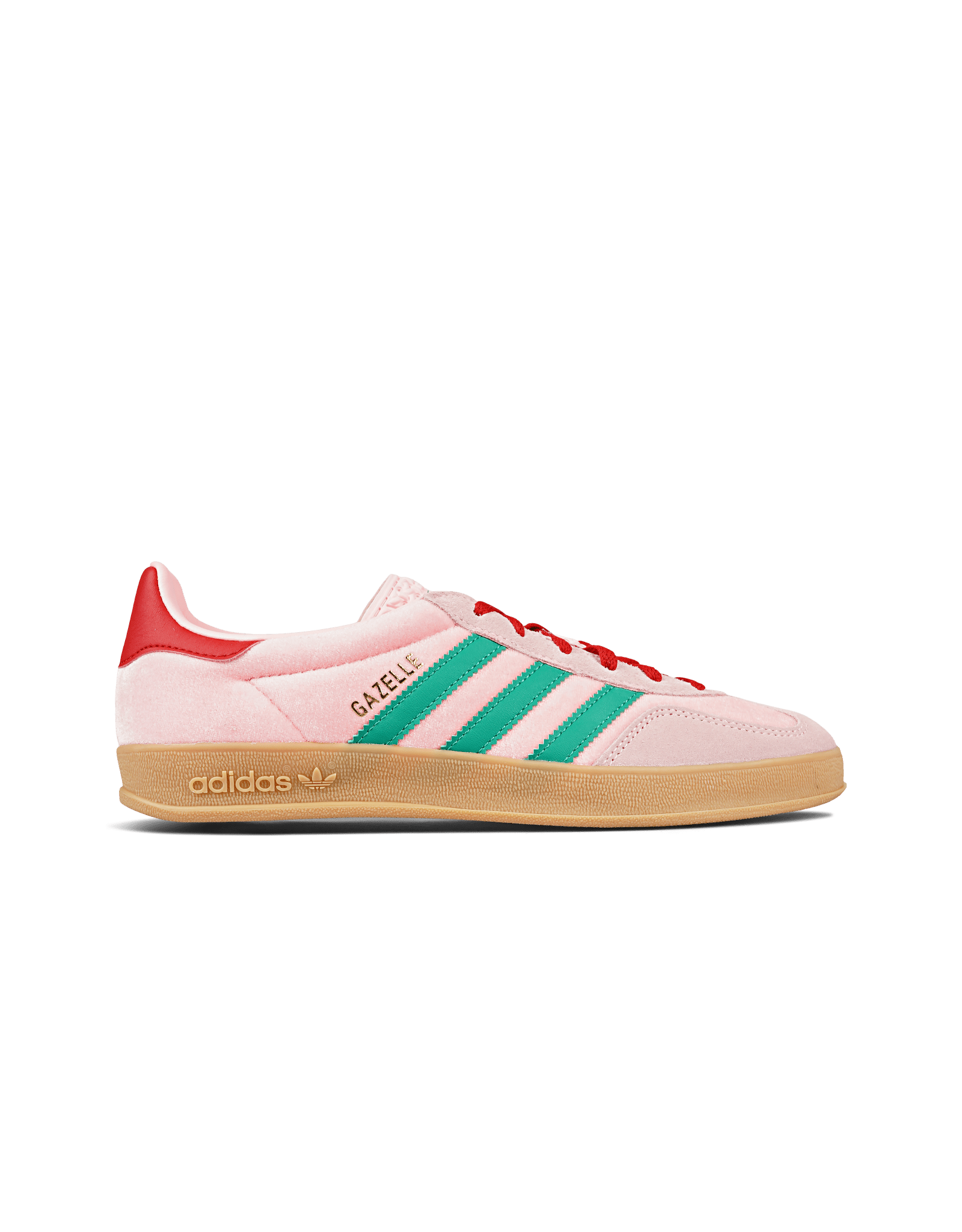 Gazelle Indoor W