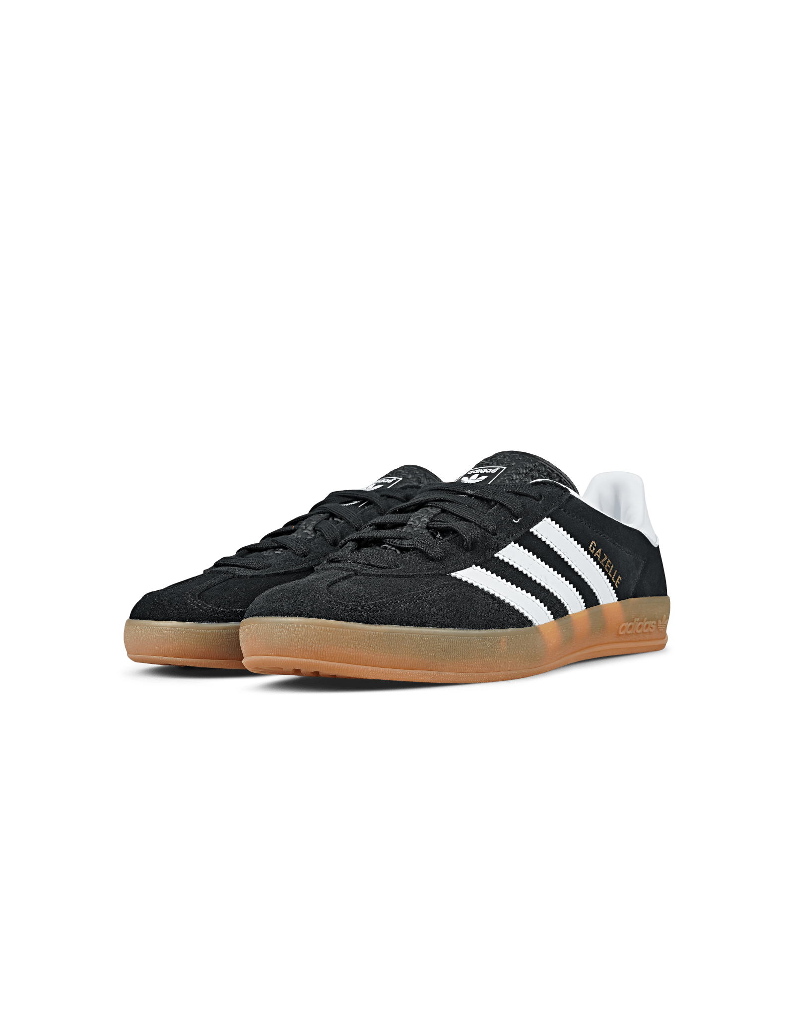 Gazelle Indoor