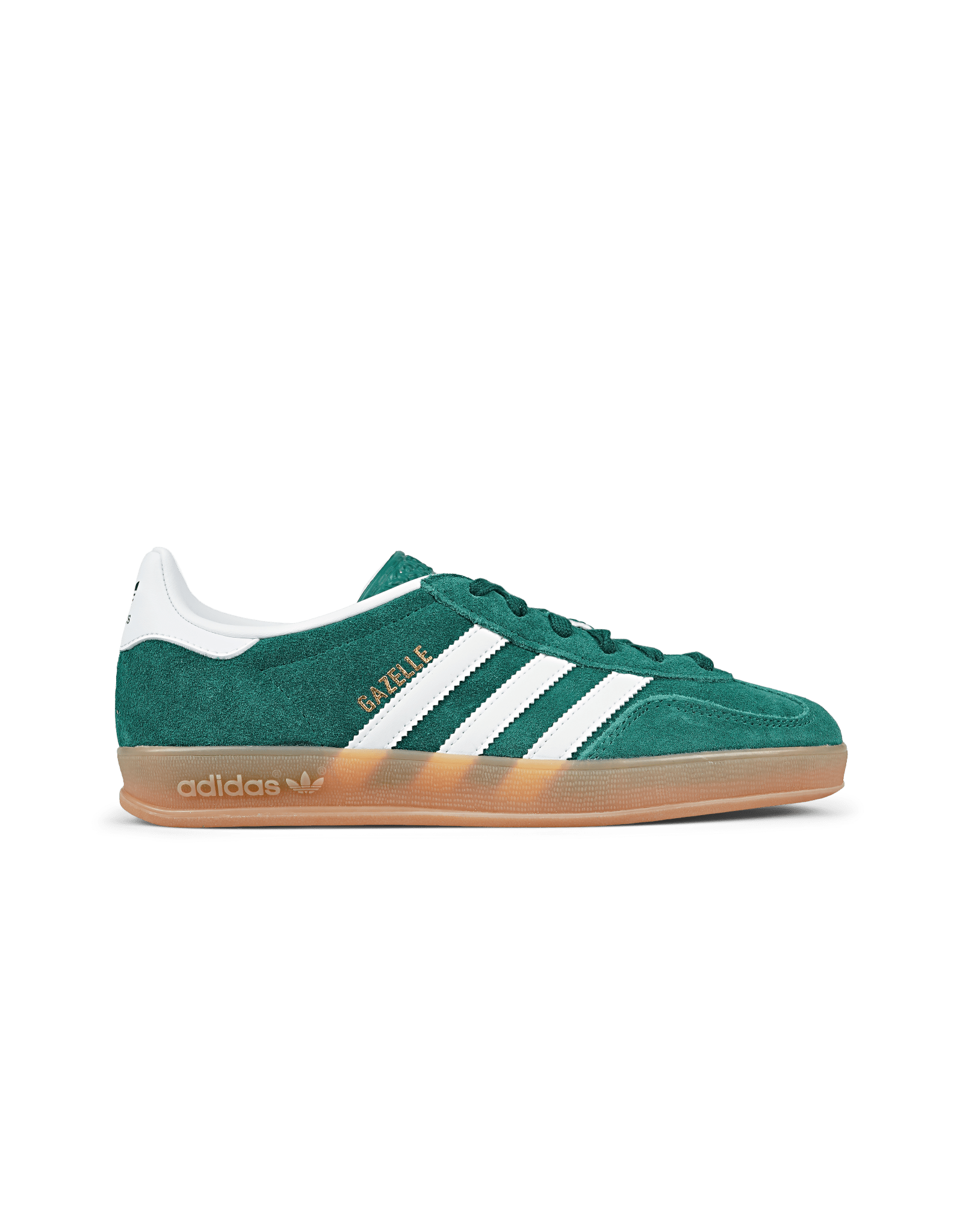 Gazelle Indoor
