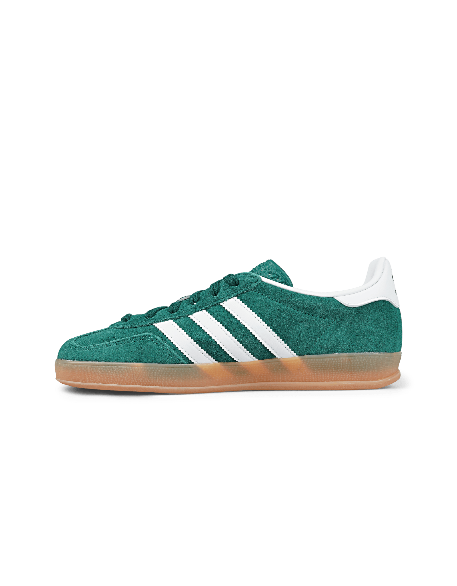 Gazelle Indoor