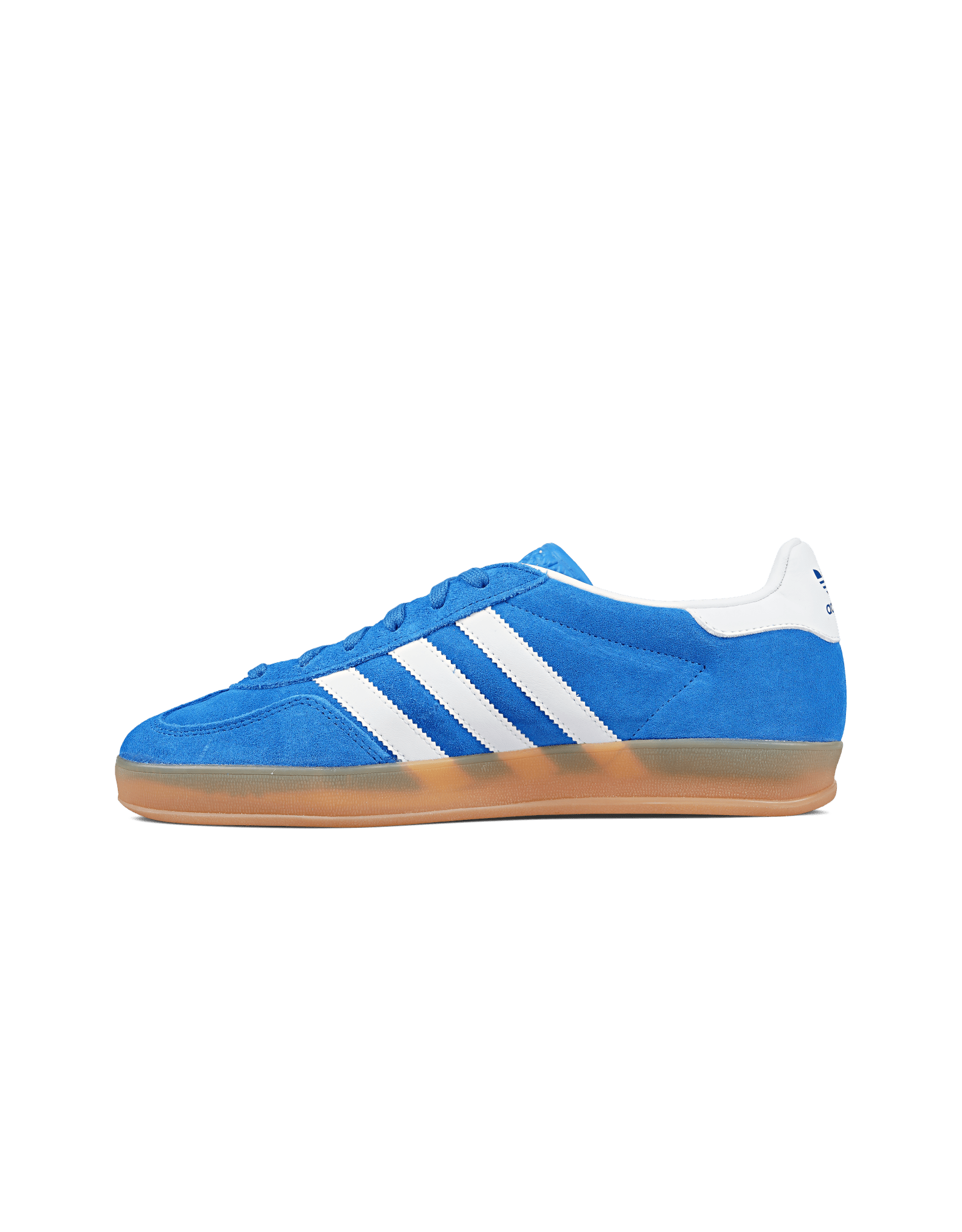 Gazelle Indoor