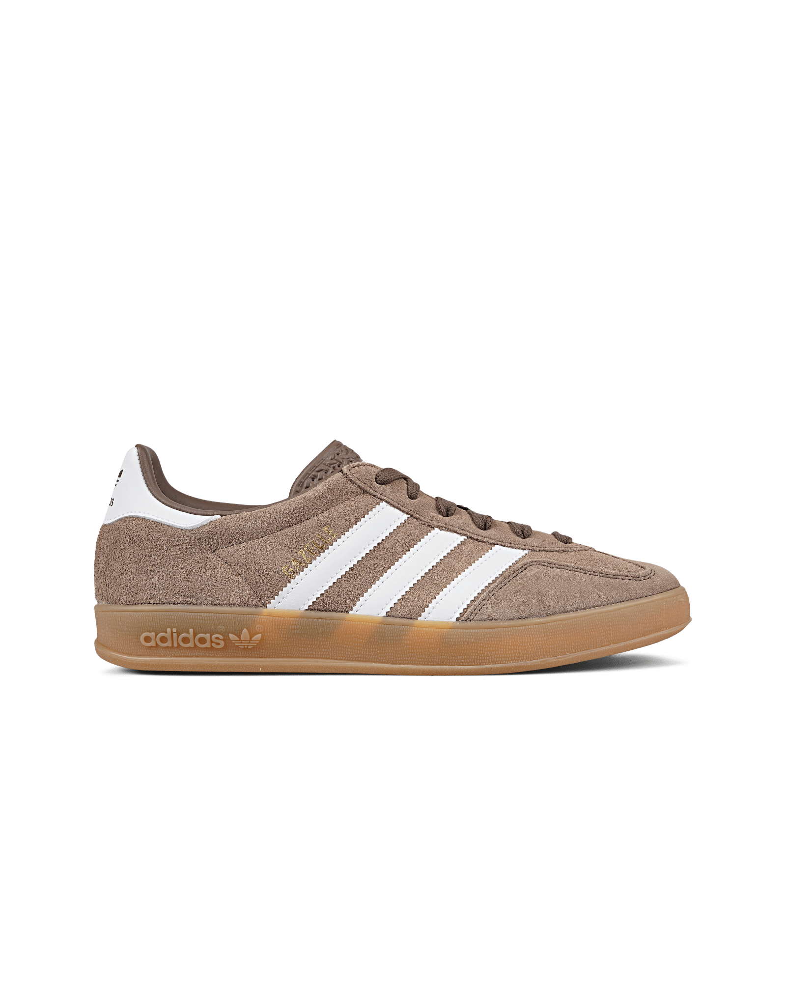 Gazelle Indoor