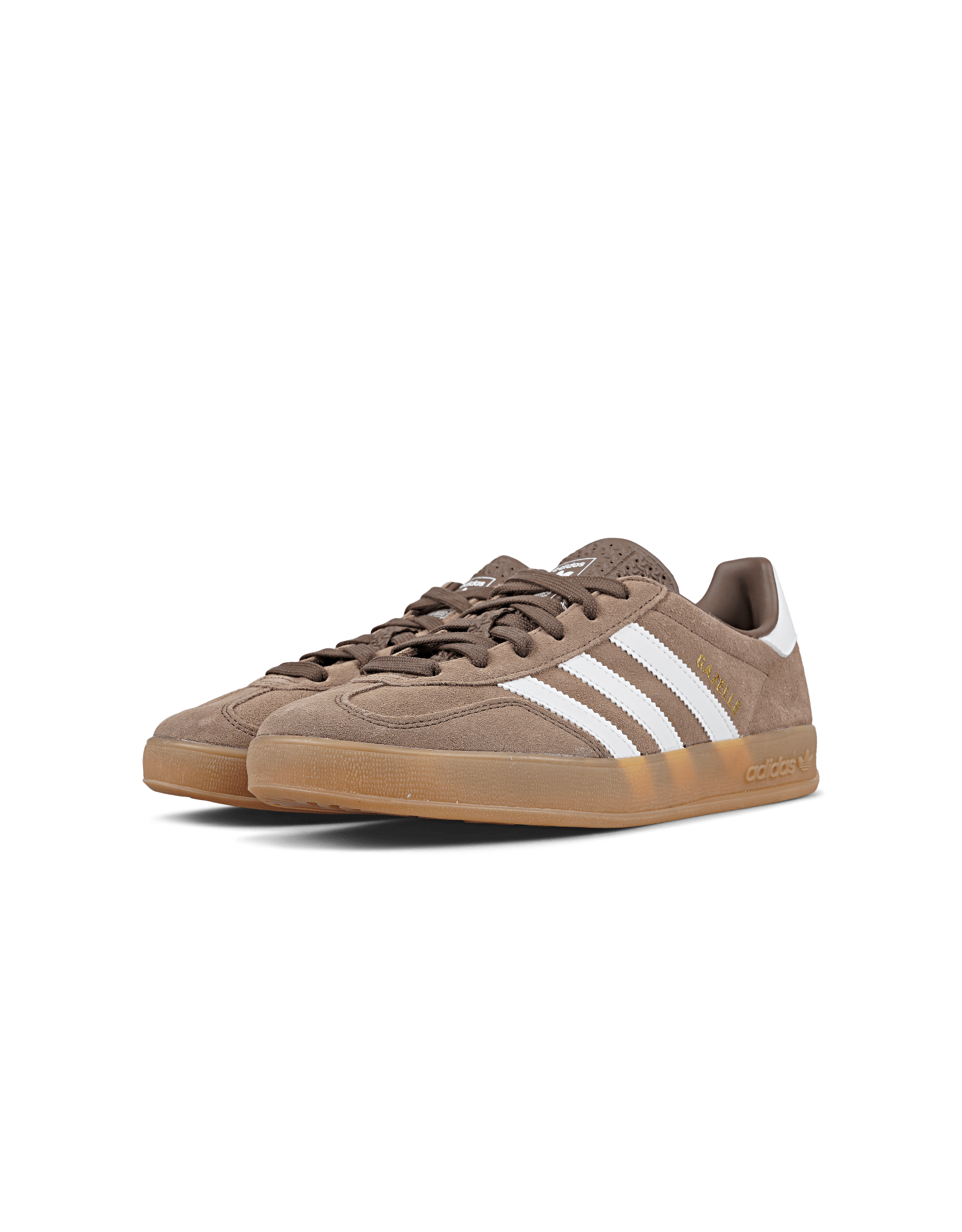 Gazelle Indoor