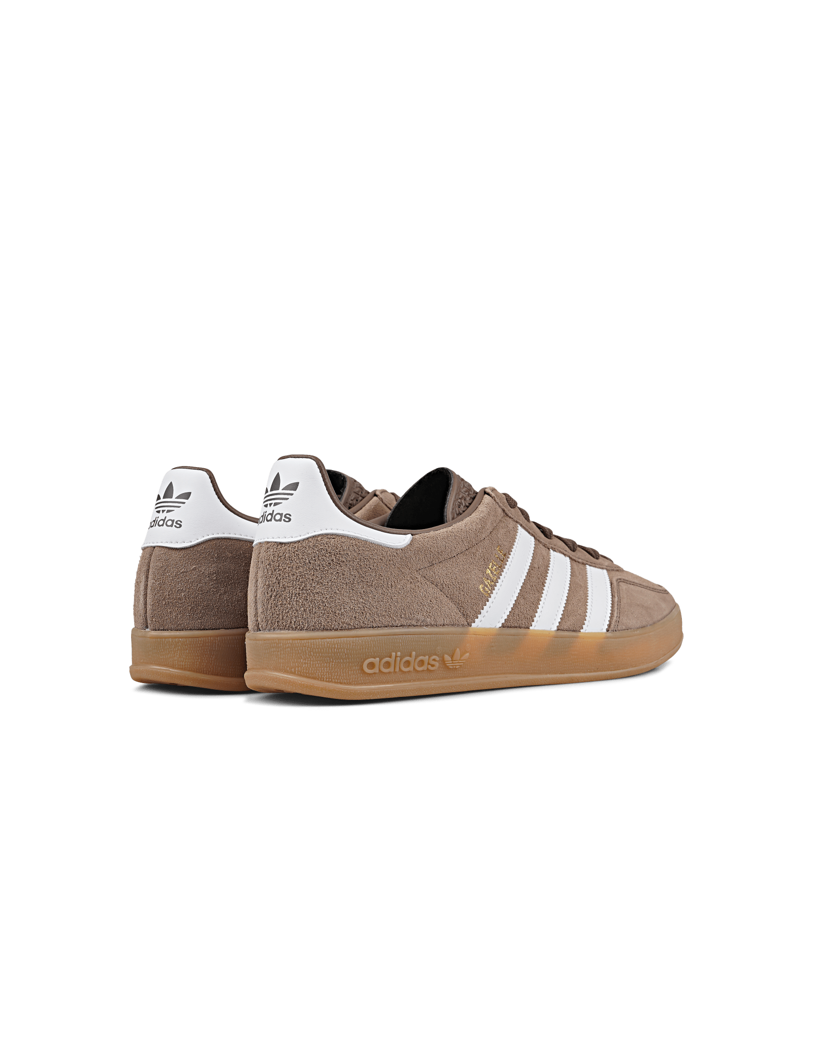 Gazelle Indoor