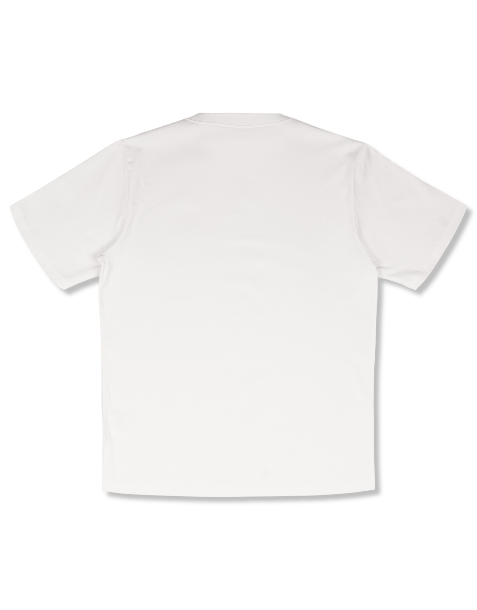 Carhartt WIP University Script T-Shirt | Rezet Store