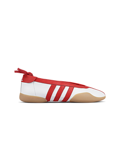 Taekwondo Mei Ballet