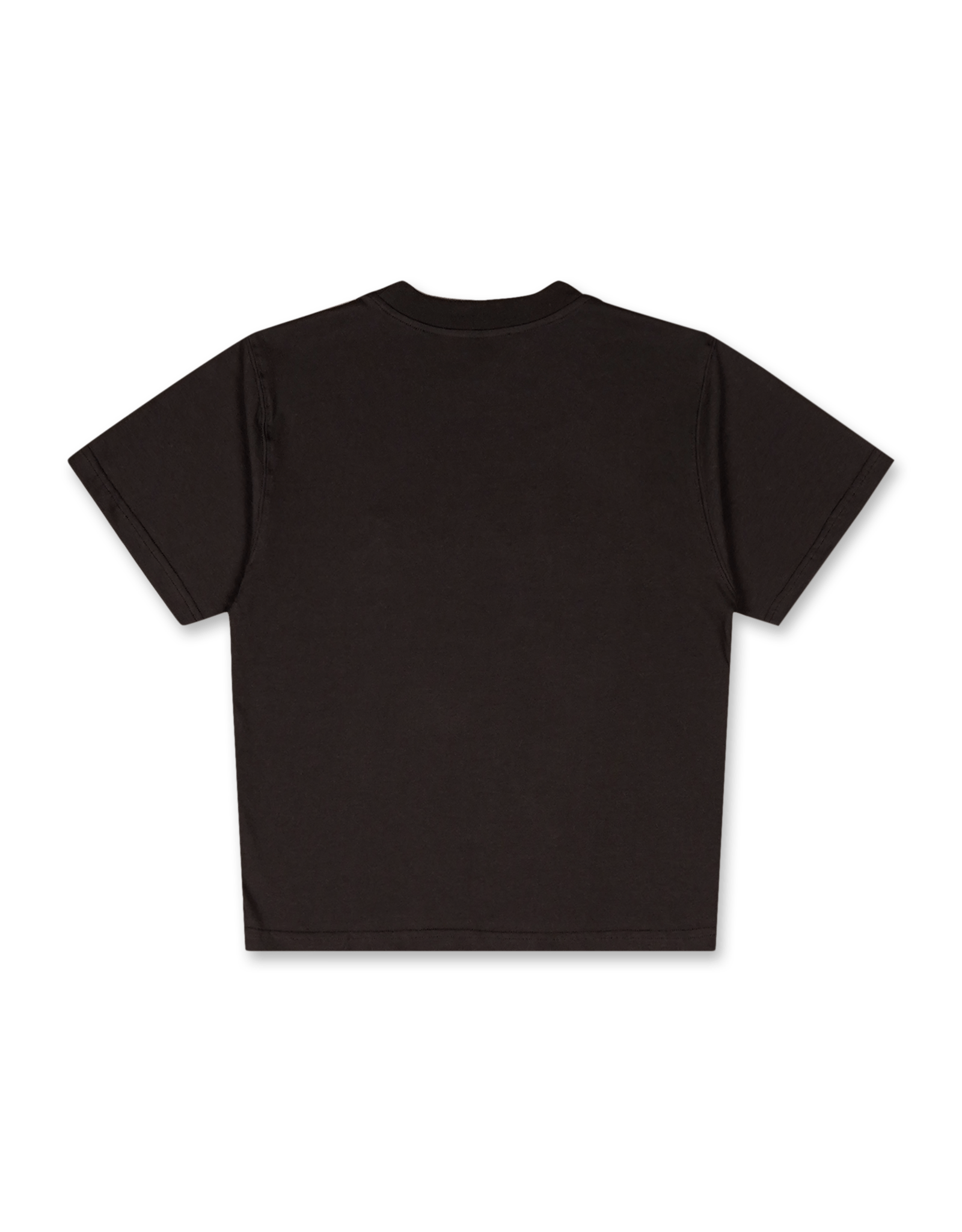 Fitted T-Shirt with Puff Paint