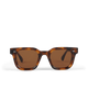 04.2 Tortoise