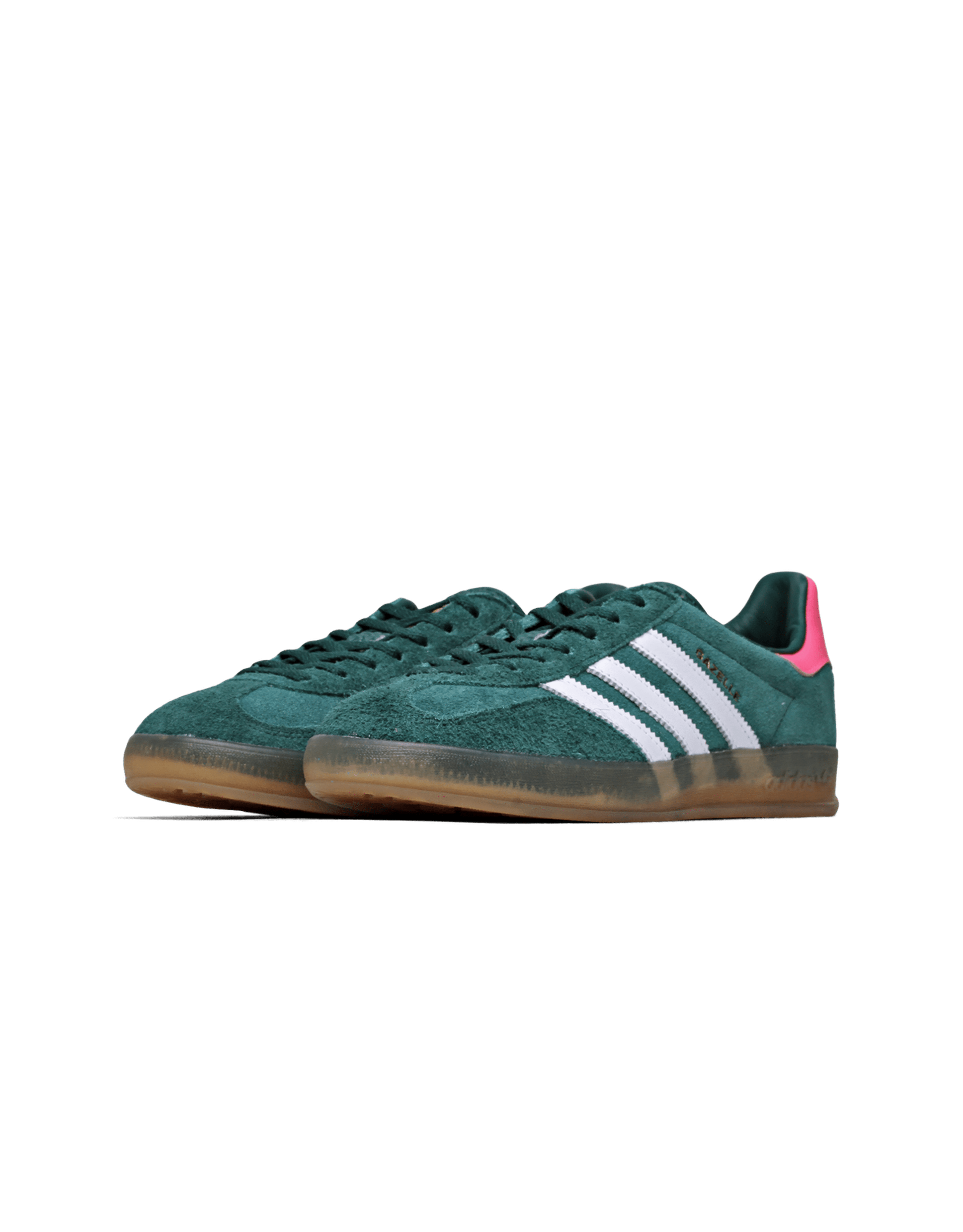 Gazelle Indoor