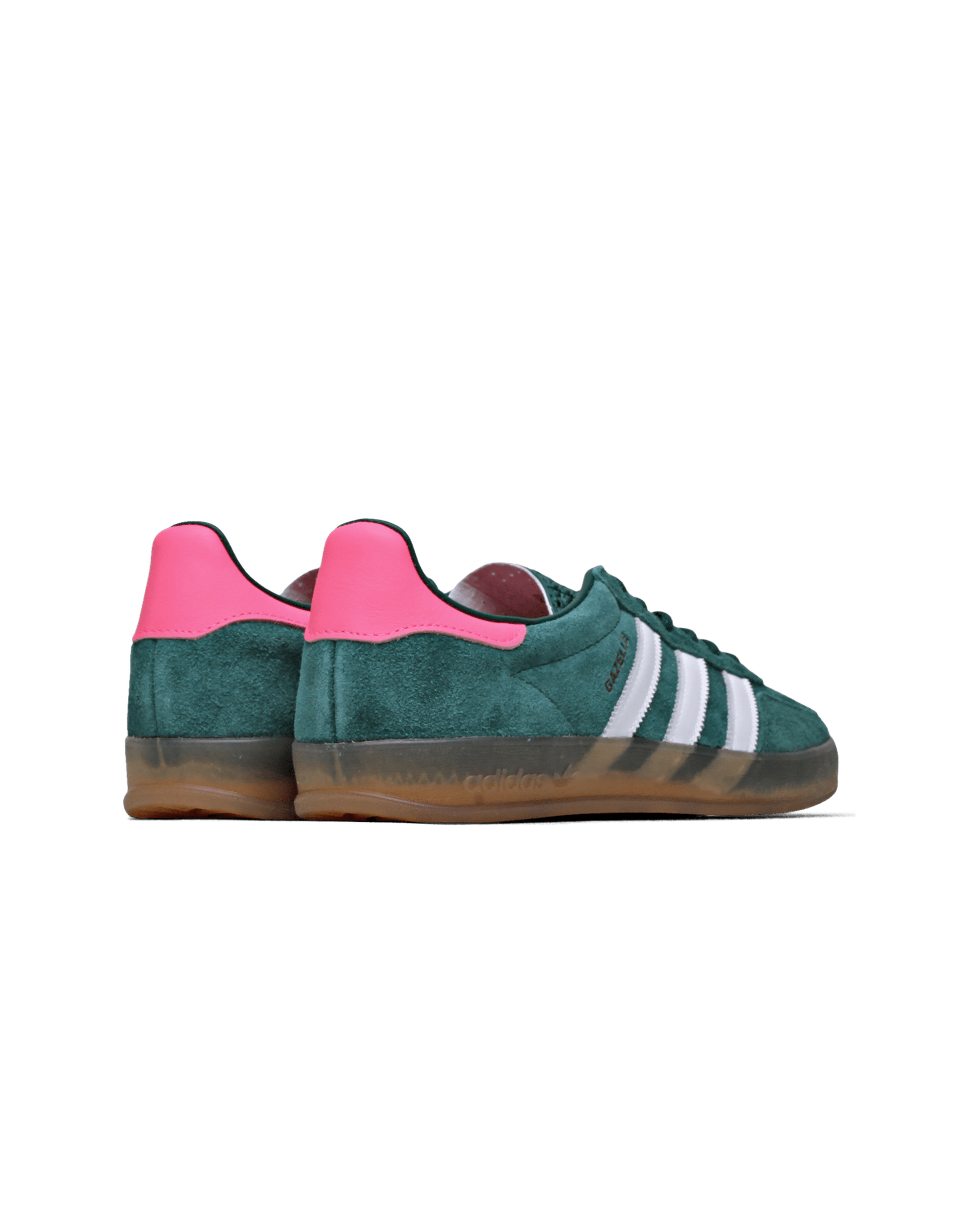 Gazelle Indoor