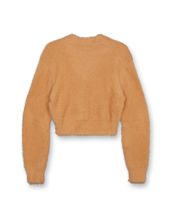 Long Hair V-Neck Knit Crop Top