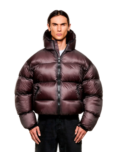 Translucent Hooded Bubble Jacket